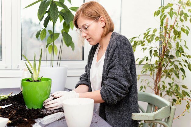 Ziołowe napary jako naturalny sposób na oczyszczenie powietrza w domu